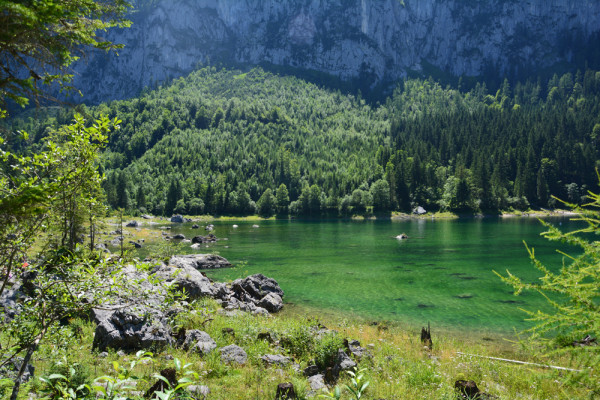 Gosausee (24)