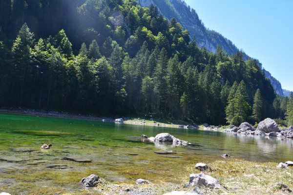 Gosausee (53)