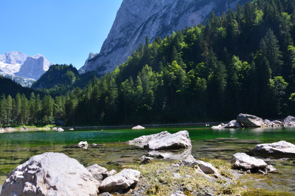 Gosausee (54)