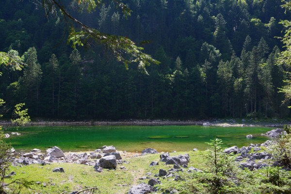 Gosausee (56)