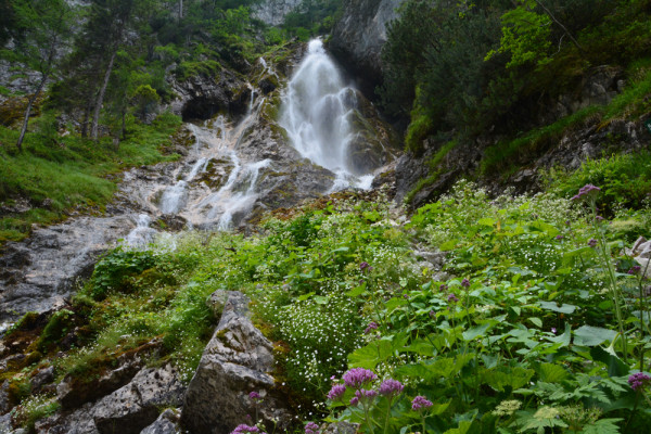Silberkarklamm (48)