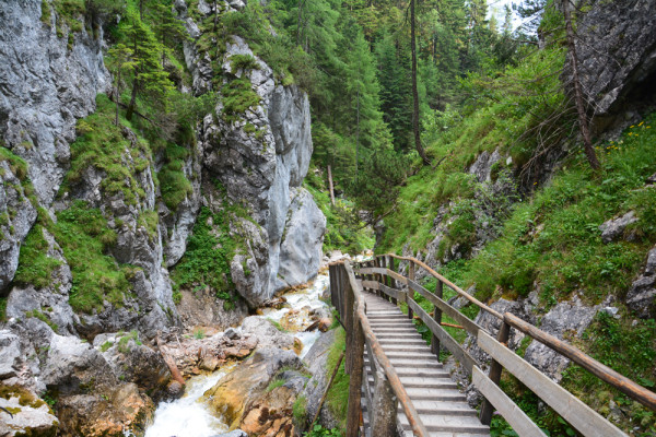 Silberkarklamm (58)