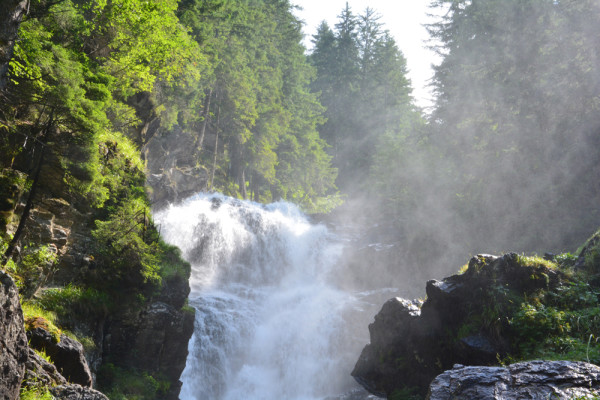 Wilde Wasser (3)