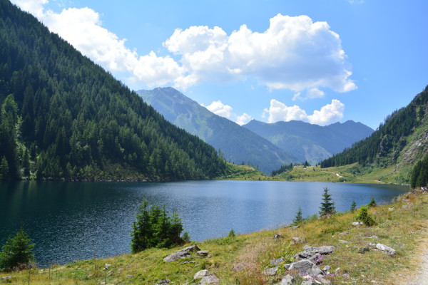 Wilde Wasser (46)