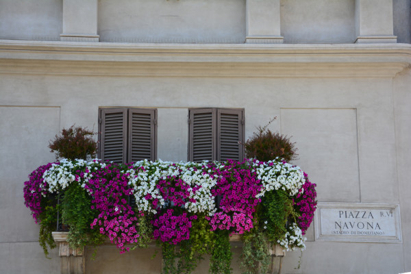 Piazza Navona (11)