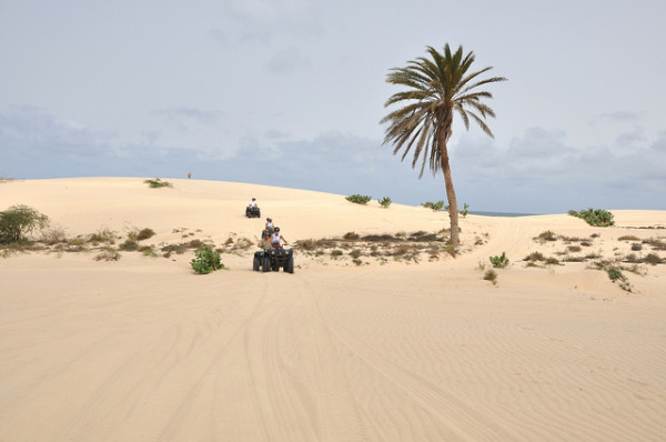 Zöld-foki Köztársaság -Viana sivatag