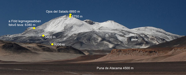 foldgombatacamaexp002