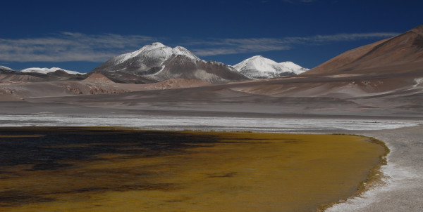 foldgombatacamaexp006