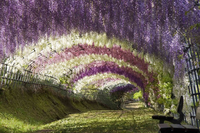 Ashikaga Flower Park3