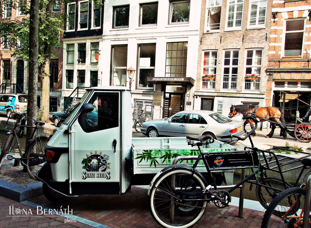 Amszterdam (5)