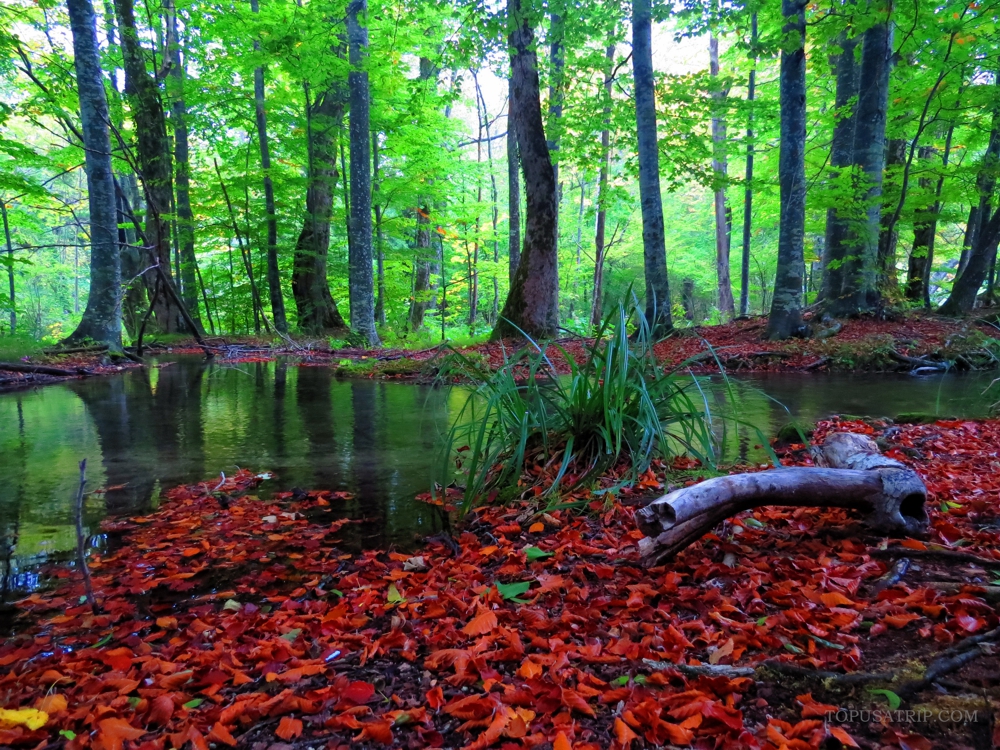 Horvátország-Plitvicei tavak (2)