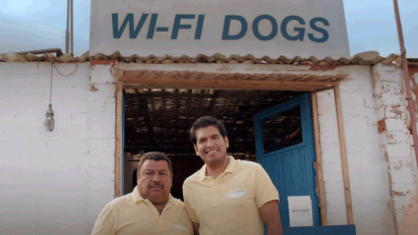 wifi_kutyak