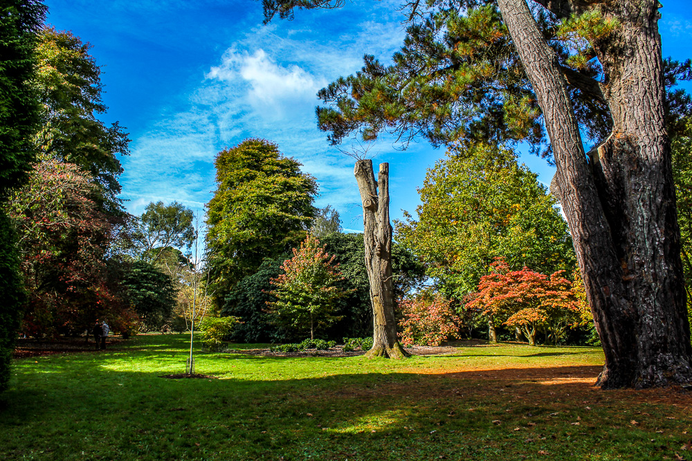 Sheffield Park & Garden (1)