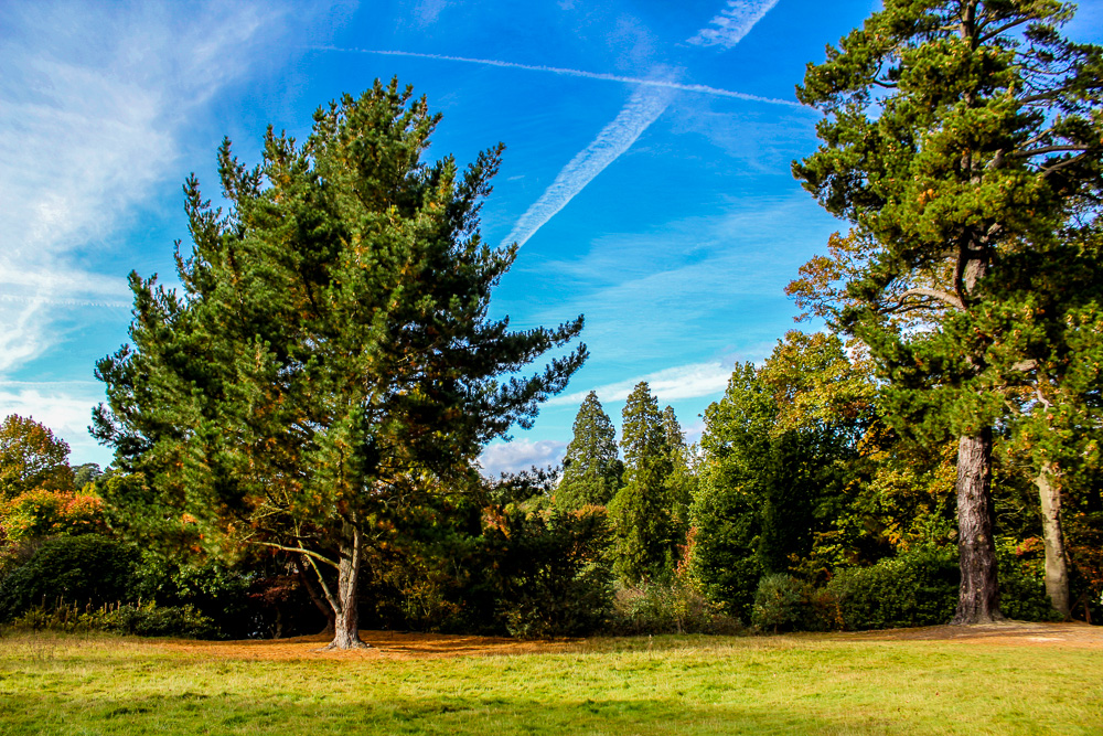 Sheffield Park & Garden (10)
