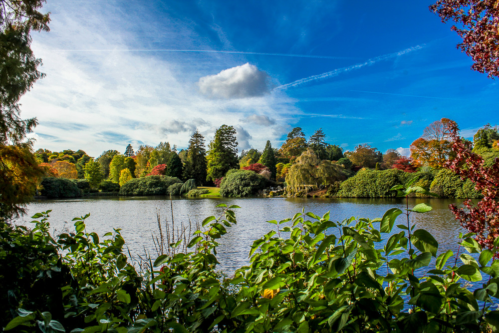 Sheffield Park & Garden (13)