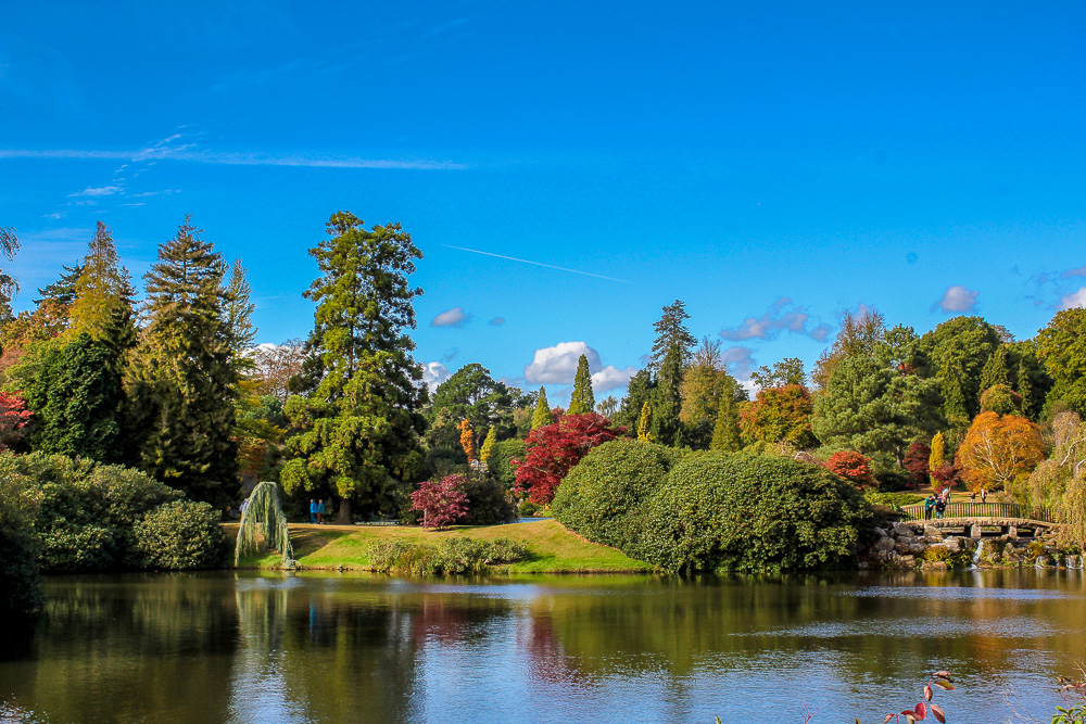 Sheffield Park & Garden (15)
