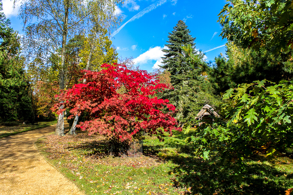 Sheffield Park & Garden (16)