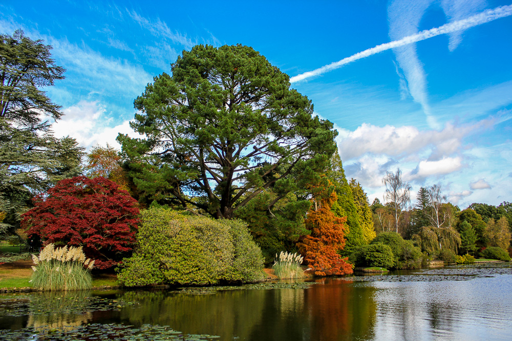 Sheffield Park & Garden (4)