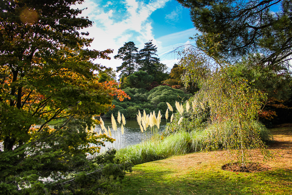 Sheffield Park & Garden (5)