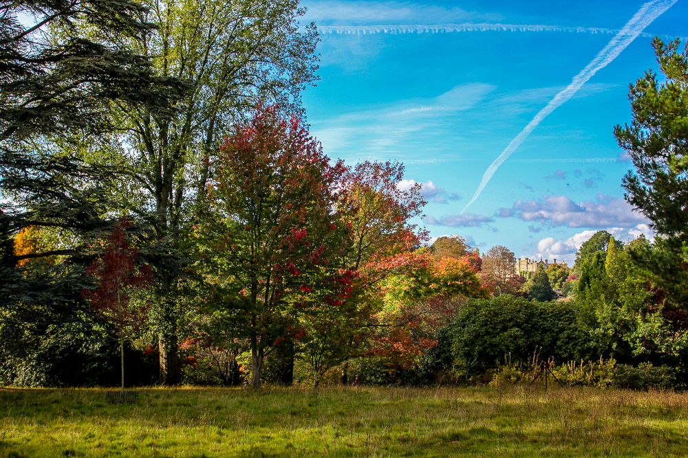 Sheffield Park & Garden (8)