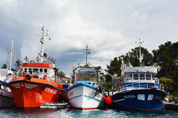 Krk_tengerpart_kikoto (4)