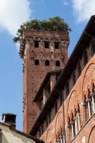 Guinigi torony_Lucca