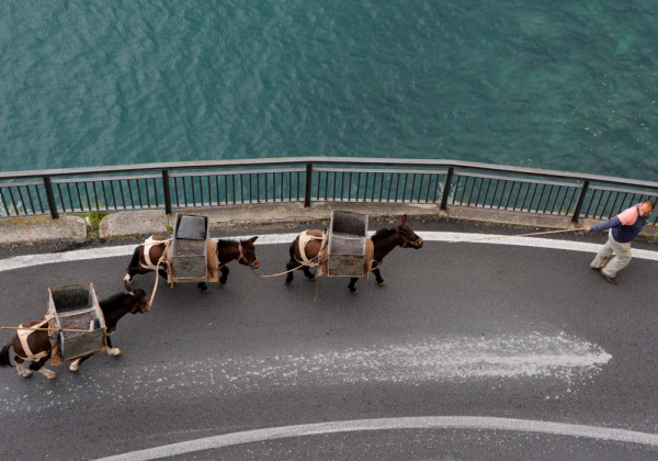 Amalfi-part_Amalfi (7)