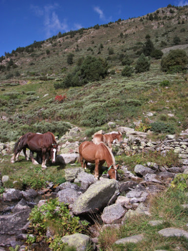 Andorra_Vall d' Incles2