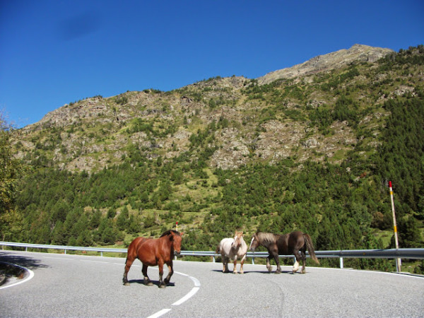 Andorra_lovak