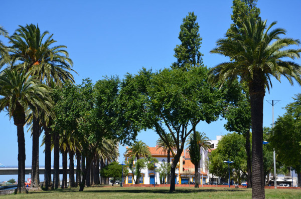 Aveiro_01