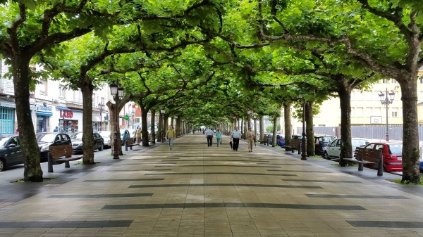 Torrelavega