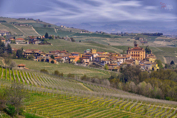 Langhe_Piemonte_01