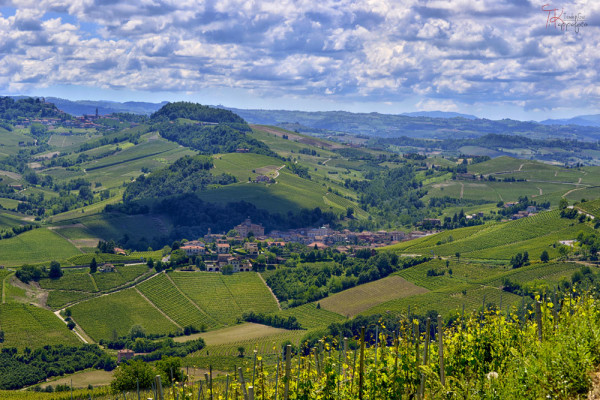 Langhe_Piemonte_03