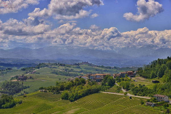 Langhe_Piemonte_07