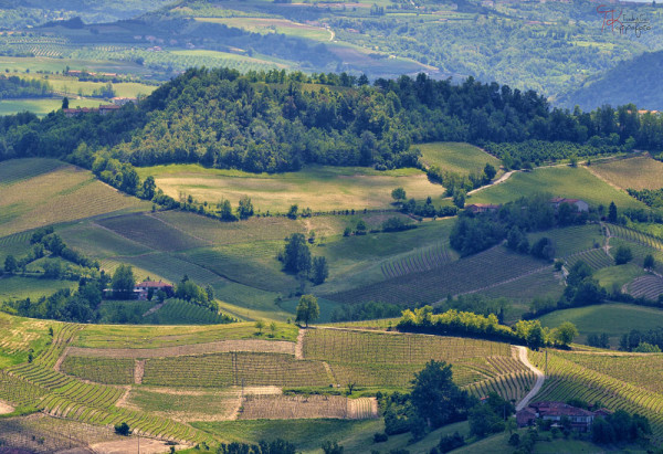 Langhe_Piemonte_08