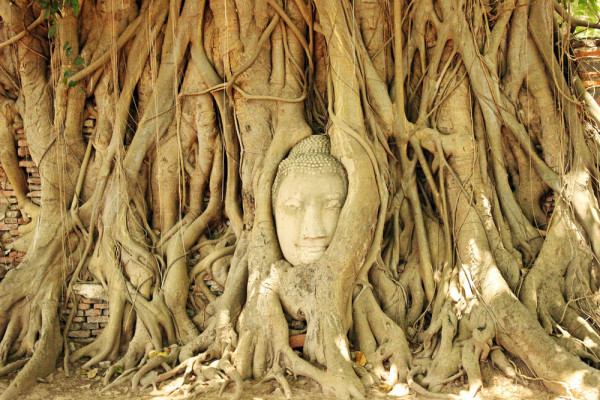 ayutthaya_thaifold_08.jpg