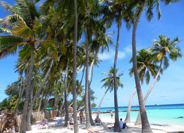 Maafushi_Maldiív-szigetek_7