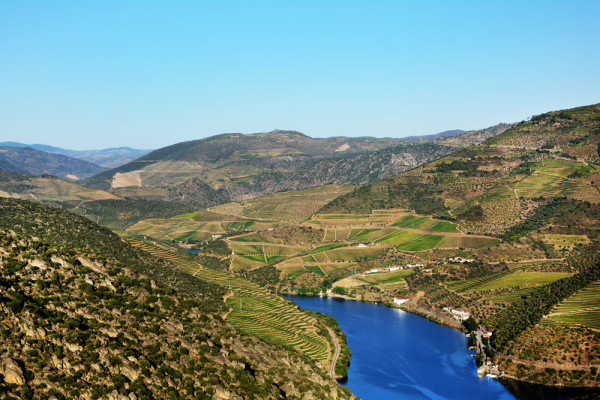 Douro_volgye_Portugalia_10