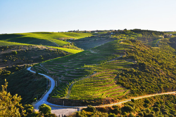 Douro_volgye_Portugalia_4
