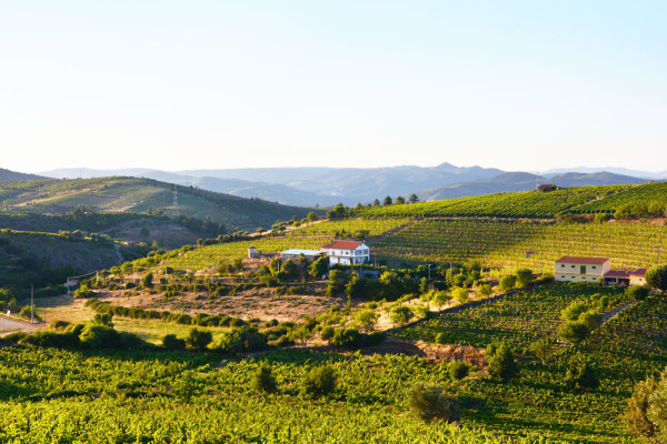 Douro_volgye_Portugalia_5