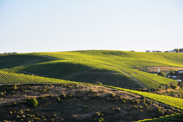 Douro_volgye_Portugalia_8