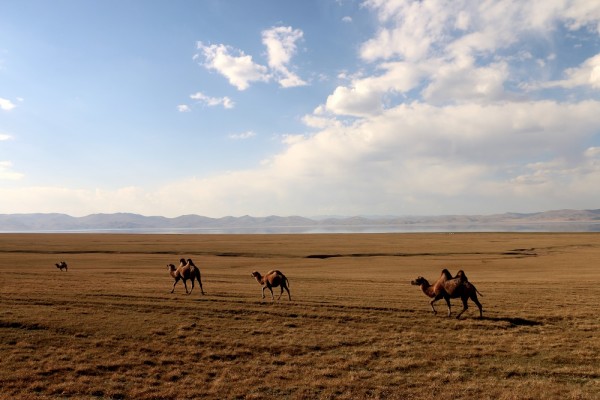 Song-Kul_Kirgizisztan