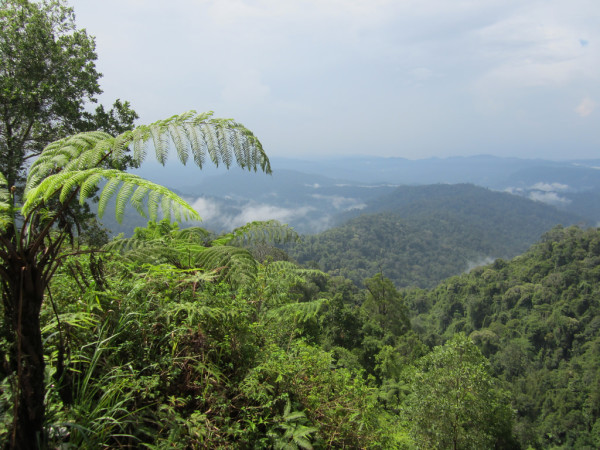 bukit_fraser_hill_malajzia