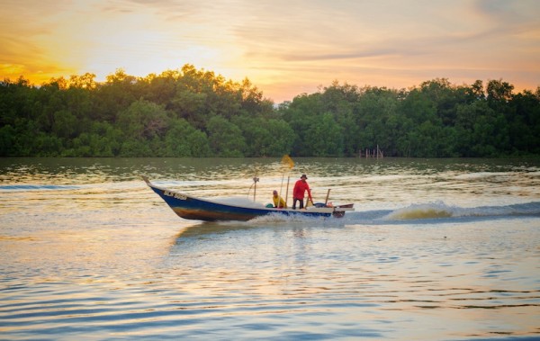kuala_selangor_nature_park_malajzia