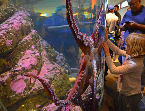 Seattle_Aquarium