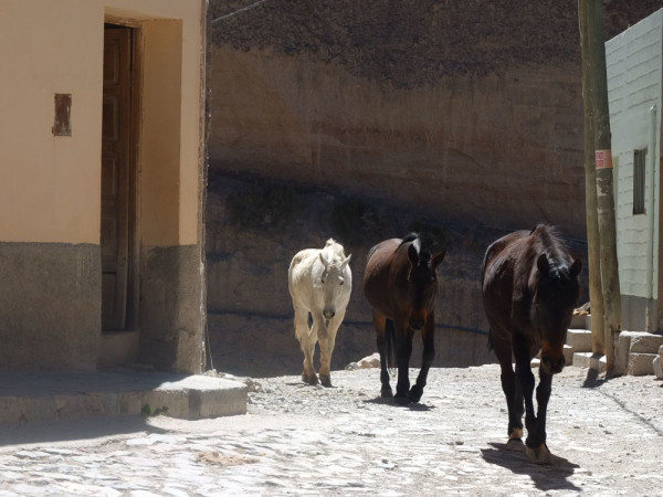 Iruya_Argentina_09