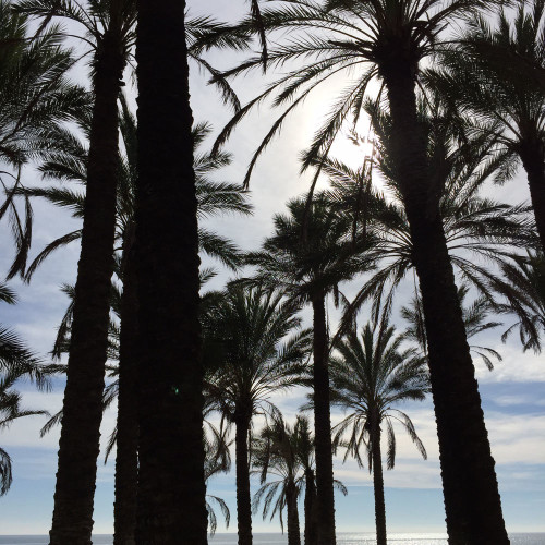 Malaga_Spanyolorszag_07