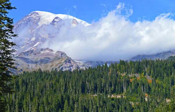 Mount Rainier_04