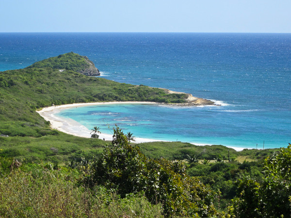 half moon bay_antigua