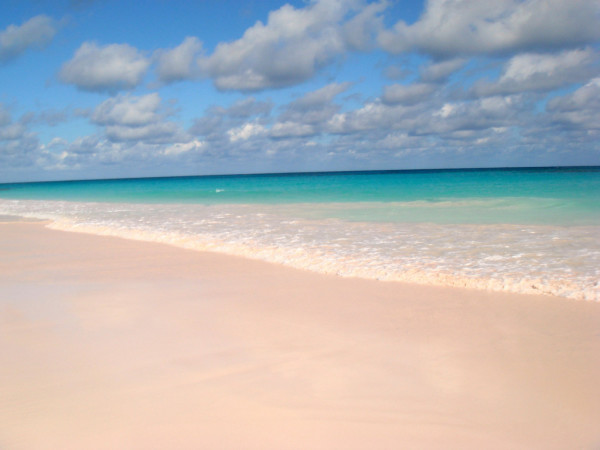 pink sands beach_harbour island_bahamak